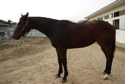 �������༮ ����