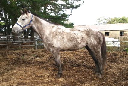 ���ƴ��� ����