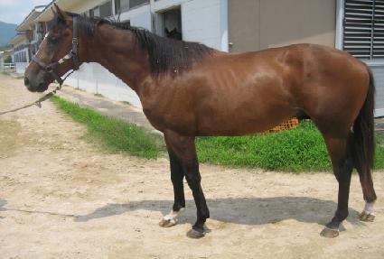 ��� ����