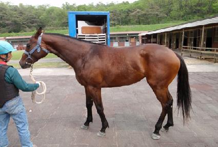 õ������ ����