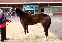 ������� (JEONGSANG HYANGGI) ����