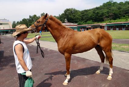 ������ ����