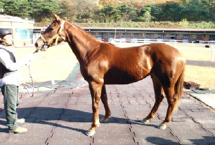 �ູ���� ����