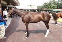 ������� (DEAD SET WIN) ����