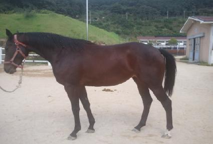 �Ϲ����� ����