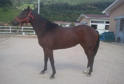 ������ǳ ����