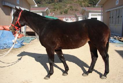 ����Ƕ� ����