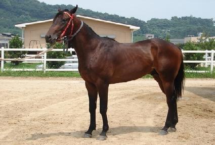 ����ƼŸ�̰� ����