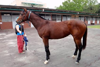 ���è�� ����