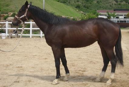 ����ڸ� ����