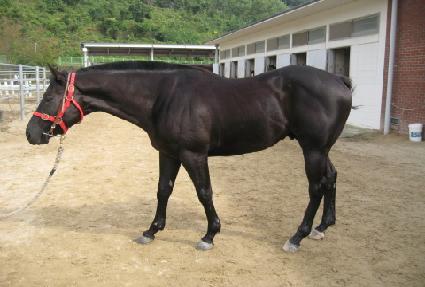 ������ ����