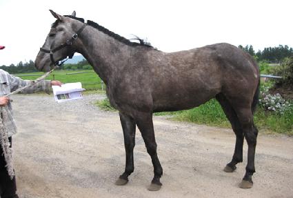 ������Ʈ�� ����