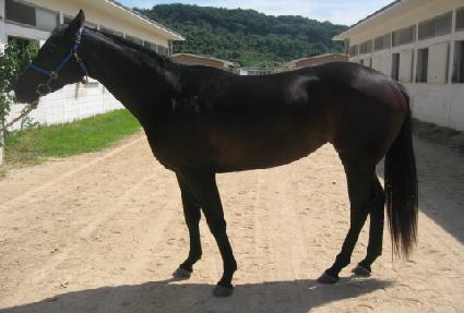 ����һ� ����