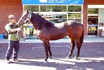 ����¸� (DAEBEON SEUNGNI) ����