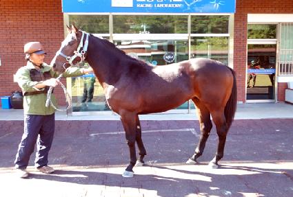 ����¸� ����