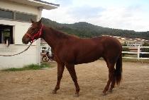 �̿����ǰ� (ESP GIRL) ����