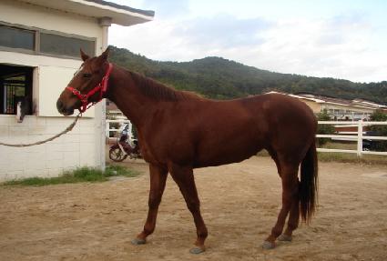 �̿����ǰ� ����