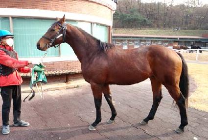 �Ӵ���Ƽ ����