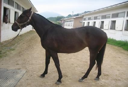 ���Ʈ ����