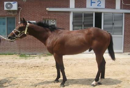 ��ġķ�� ����