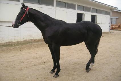 ����Ŀ��� ����