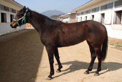 ������ ����