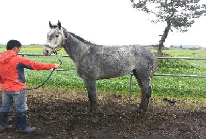 �����Ŀ� ����