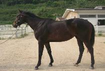 �����Ѻ�Ȱ (WIDAEHAN BUHWAL) ����