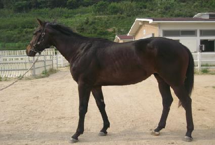 �����Ѻ�Ȱ ����