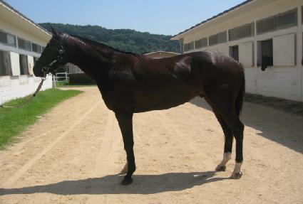 �ְ���ž ����