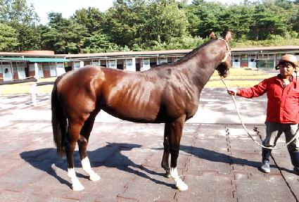 ��ǳ���� ����