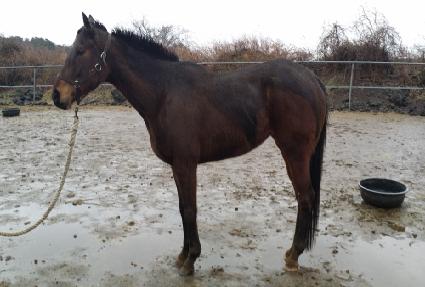 ī�ж� ����