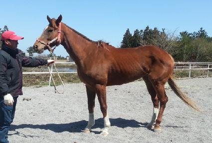 ����Ʈ���� ����