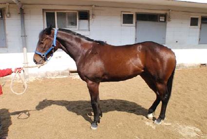 Ŭ������ ����