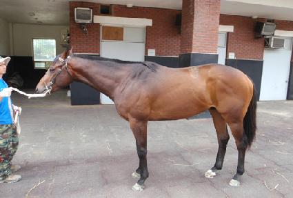 ���ڹٿ��� ����