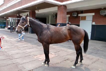 �ƺ�ó�� ����