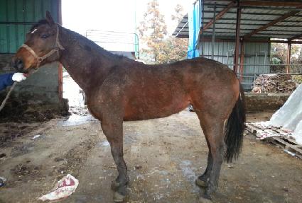 �¸��ѹ��� ����