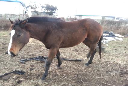 ©��ķ�� ����