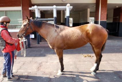 �¸�è�Ǿ� ����