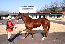 �ص��� (HAEDONGCHO) ����