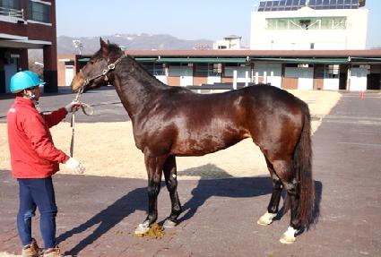 ������� ����