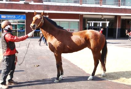 �ִ��� ����