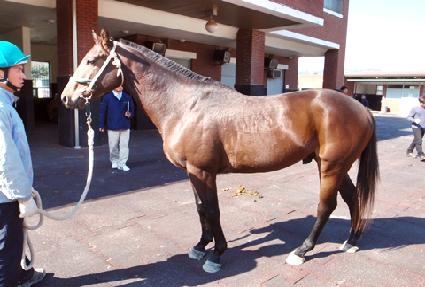 �������� ����