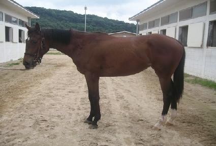 ���̽��þ� ����