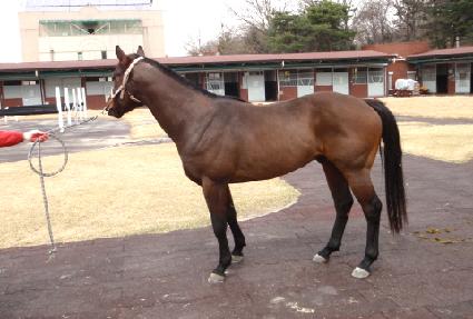 ���׹�� ����