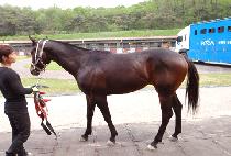 ���̽����� (NICE DOUBLE) ����