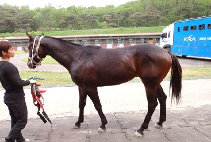 ���̽����� ����