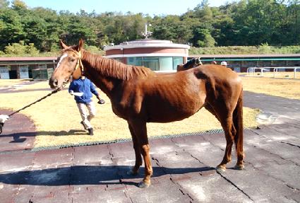 ��������ƾ ����