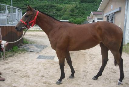 �Ҹ� ����