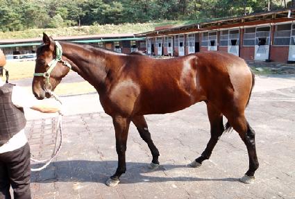 ���θ��� ����